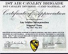 1st Air Cav